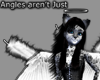 ~~Not all angles are..~~