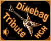 Dimebag Tribute Guitar m
