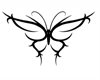 butterfly tattoo