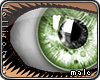 *L� iGlass Moss