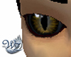 Gold Dragon Eyes