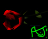 Rose for Yumi