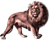 The King Leo the Lion