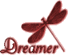 Dreamer