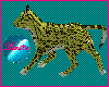 Ocelot