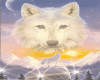 wolf22