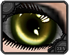 xes� {Vision | Hazel