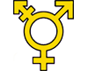 transgender shirt