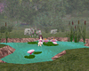 Yumi Lotus Pond