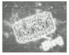 [HH] (SR)~Diamond BR
