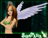Wings of Flight