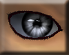 dark grey eye (male)