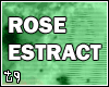 [TQ] rose