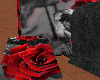 Product Image for Black Magic rose bed