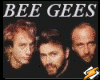 ~BGs-More Than A Woman