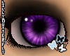 [L] Purple i-Raver