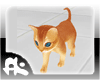F.K Kitty Gold *Hug*