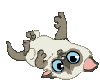 give me