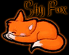Shy Fox