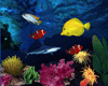 Aquarium with a shark