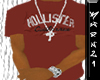 [K21] Hollister T Red