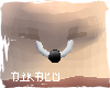 [N] Bull-Ring P. H4