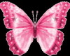 Pink Butterfly Tattoo