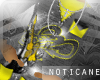 {N.cane*}B.m.I[grey Hood