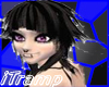 iT- OKIMI Black|Blond