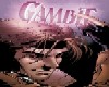 Gambit