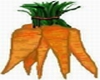 Carrot T-shirt, Male