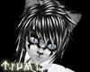 ~[Tsu]~ Gothic Tail