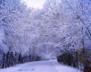 photosbyterry road