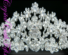 ~CCF~C.BridalWedVeilSwkC