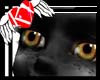 all eyes on you (br gr)