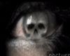Product Image for SkullEye - Sticker