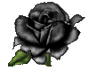 sticker_313340_48130