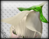 L| Flower hat earth