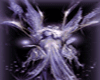 Sparkle Fairy anim