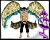 Tropical Dawn Cherubim