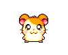 HamtaroZ