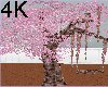 4K Tree Swing Pose