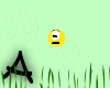 [A] Smiley Bling