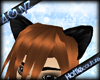 [Hot] Pure BlackCat Ears