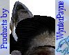 Wolf Ears