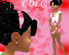 C.D.L.C Bedtime (HB)