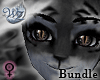 Black Tiger Bundle F