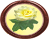 Yellow Rose Framed