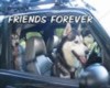 friends forever