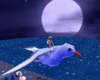 Moonlight starry beach